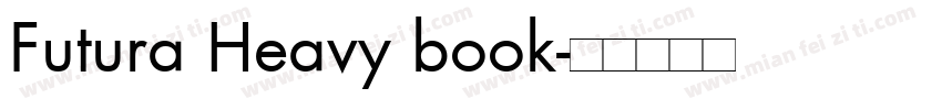 Futura Heavy book字体转换